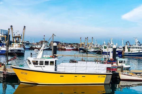 爱尔兰豪思 2020年1月1日 在爱尔兰都柏林附近的小贸易港口豪思渔村的渔船 — 图库照片