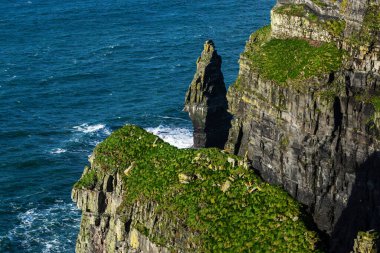 Moher Kayalıkları, İrlanda 'nın Clare ilçesinin Burren bölgesinin güneybatısında yer alan deniz kayalıkları.