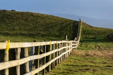 İrlanda 'nın Munster eyaletindeki Clare County' de Moher 'in kayalıklarında çiftlik hayvanları için elektrikli çit. 