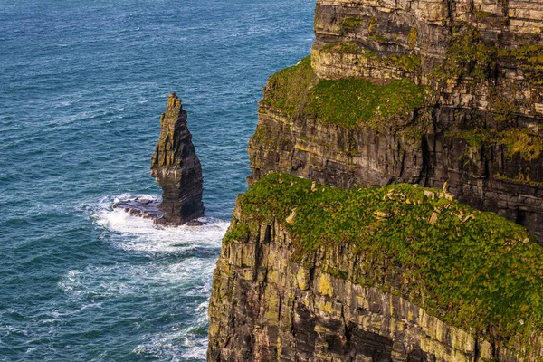 アイルランドのクレア州のBurren地域の南西端に位置する海の崖であるMoherの崖 — ストック写真