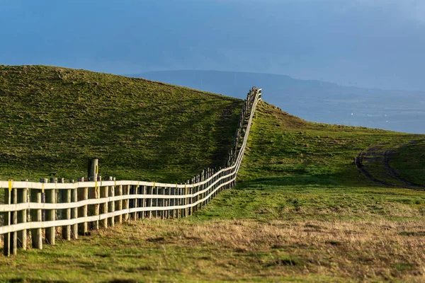 アイルランドのムンスター県クレア県の母の崖の上の草原の家畜のための電気柵 — ストック写真