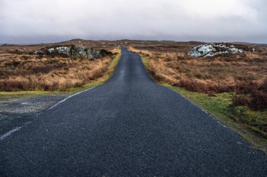 İrlanda 'nın Galway ilçesindeki Connemara Ulusal Parkı' ndaki bir çayır arazisinden geçen yol 