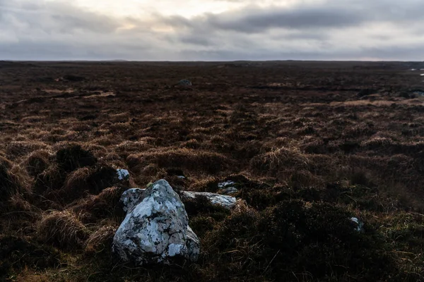 Rlanda Connemara Ulusal Parkı Ndaki Bir Çayır Manzarası Galway Ilçesi — Stok fotoğraf