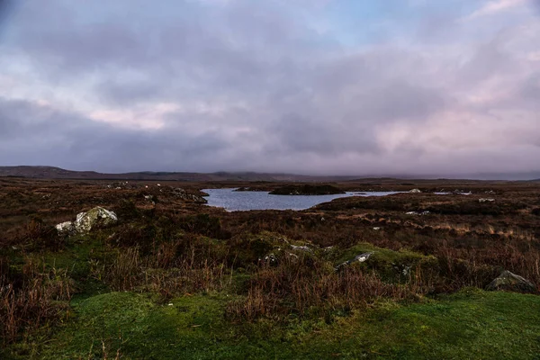 Rlanda Connemara Ulusal Parkı Ndaki Bir Çayır Manzarası Galway Ilçesi — Stok fotoğraf