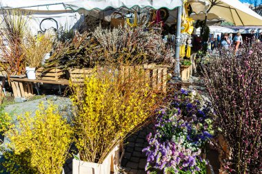 Münih, Almanya - 4 Nisan 2025: Viktualienmarkt 'ta çiçekçi, Münih, Bavyera, Almanya' da insanlarla birlikte sokak gıda pazarı