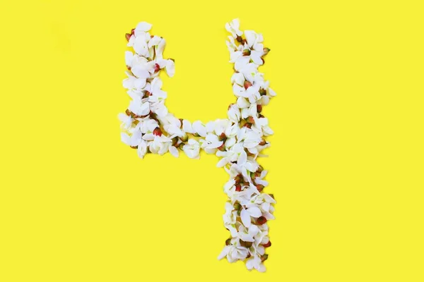 Número Está Escrito Flores Brancas Acácia Fundo Amarelo Número Quatro — Fotografia de Stock