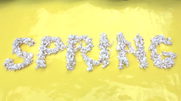 L'iscrizione Primavera è scritta in fiori bianchi di lilla su sfondo giallo. La parola Primavera è scritta con fiori lilla. Iscrizione floreale Primavera. Sfondo per un biglietto di auguri . — Video Stock