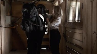 Beyaz gömlekli ve eldivenli bir kız ata eyer takar.