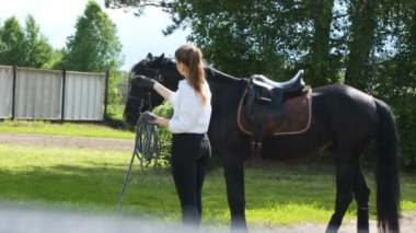 Beyaz gömlekli ve siyah pantolonlu bir kız ve güneşli yaz eğitiminde siyah bir at.