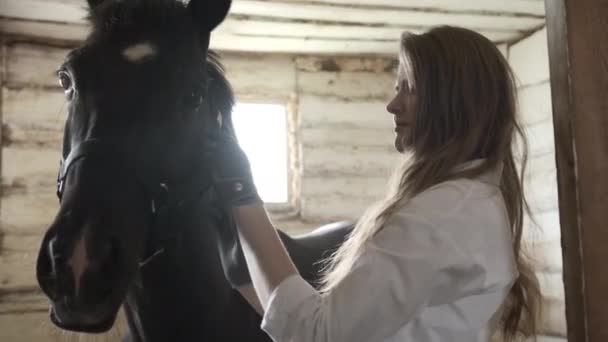 Uma menina com uma camisa branca e luvas coloca um freio em um cavalo — Vídeo de Stock