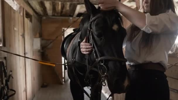 Девушка в белой рубашке затягивает уздечку на коне — стоковое видео