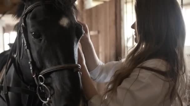 Κορίτσι με λευκό πουκάμισο σφίγγει το χαλινάρι στο άλογο — Αρχείο Βίντεο