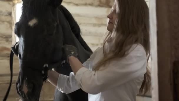 Uma menina com uma camisa branca e luvas coloca um freio em um cavalo — Vídeo de Stock
