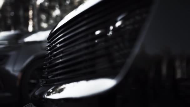 Sort aggressiv mundkurv af bilen, close-up – Stock-video