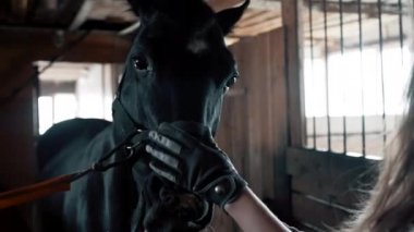 Beyaz gömlekli ve eldivenli bir kız at tarıyor.