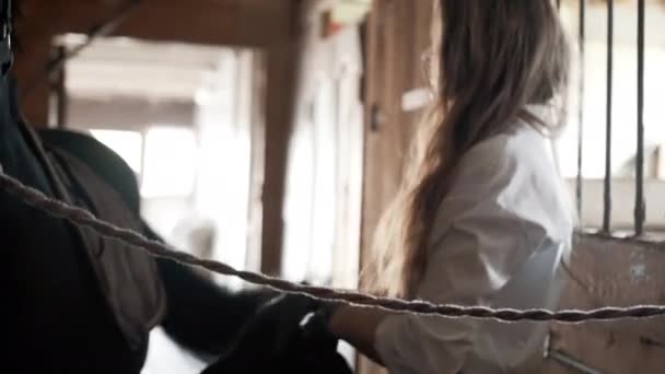 Ένα κορίτσι με λευκό πουκάμισο και γάντια ρίχνει μια σέλα σε ένα άλογο — Αρχείο Βίντεο