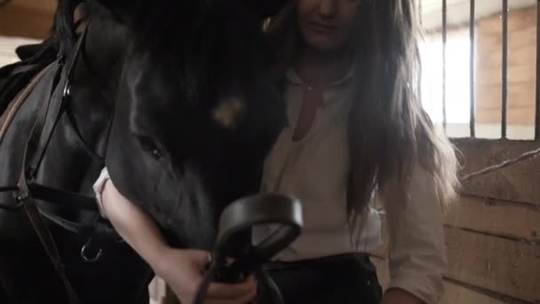 Dziewczyna w białej koszuli napina uzdę na koniu — Wideo stockowe