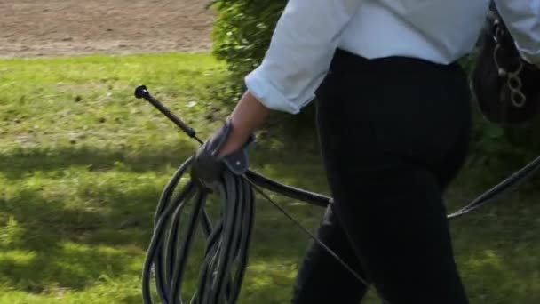 Uma menina em uma camisa branca e calças pretas e um cavalo preto em treinamento de verão em tempo ensolarado — Vídeo de Stock