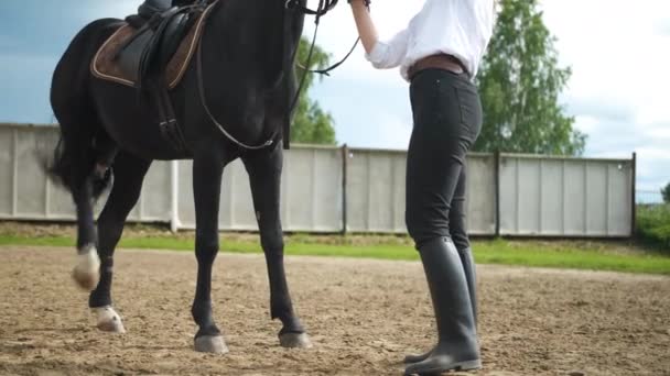 Uma menina em uma camisa branca e calças pretas e um cavalo preto em treinamento de verão em tempo ensolarado — Vídeo de Stock