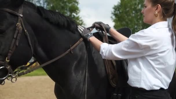 Uma menina em uma camisa branca e calças pretas e um cavalo preto em treinamento de verão em tempo ensolarado — Vídeo de Stock