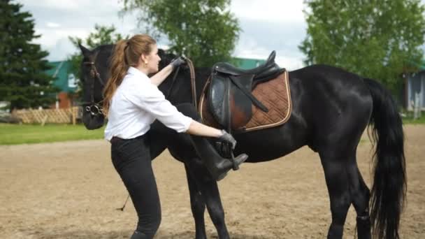 A menina senta-se em um cavalo preto — Vídeo de Stock