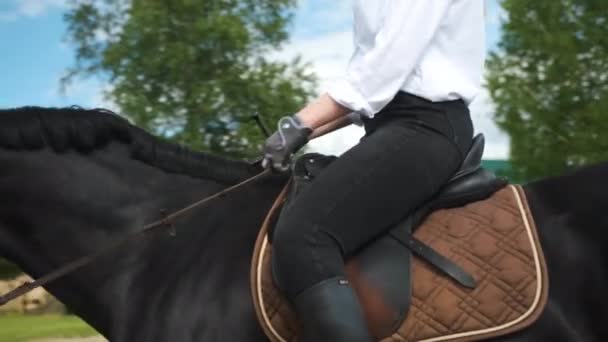 Flicka i vit skjorta och svarta byxor rider en häst — Stockvideo