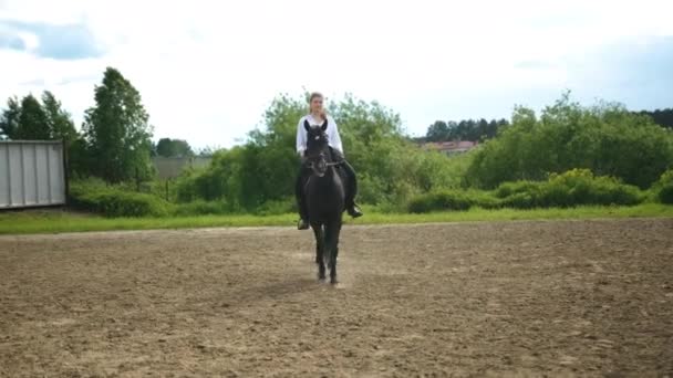 Meisje in een wit shirt en zwarte broek rijdt op een paard — Stockvideo