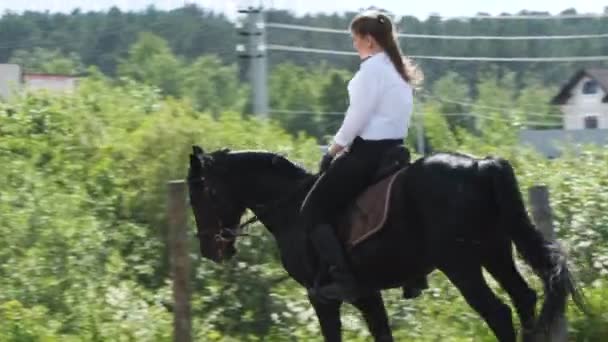 Flicka i vit skjorta och svarta byxor rider en häst — Stockvideo