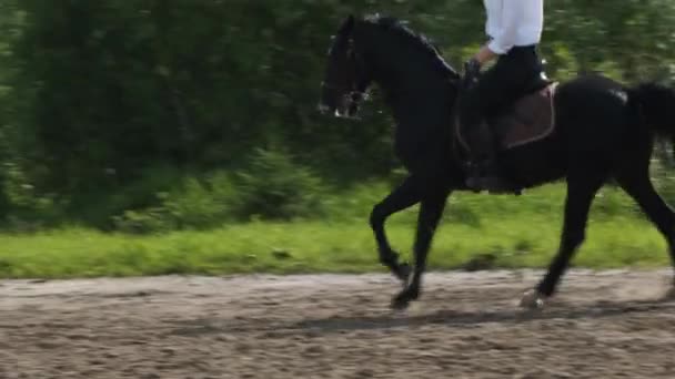 Flicka i vit skjorta och svarta byxor rider en häst — Stockvideo