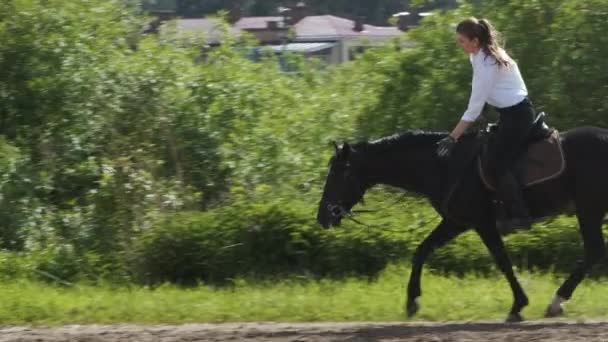 Dziewczyna w białej koszuli i czarne spodnie jeździ konno — Wideo stockowe