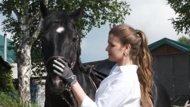 Menina em uma camisa branca e luvas acariciando um cavalo — Vídeo de Stock