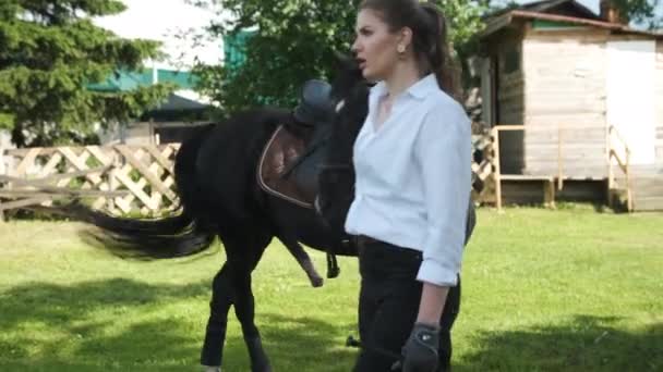 Menina em uma camisa branca e calças pretas leva um cavalo com uma ereção — Vídeo de Stock