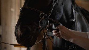 Beyaz gömlekli kız atın dizginlerini sıkıyor.
