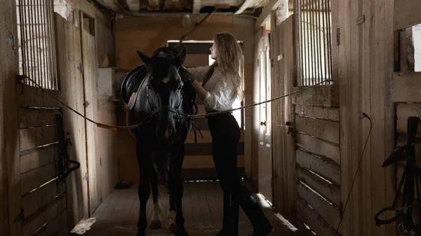 Uma menina com uma camisa branca e luvas joga uma sela em um cavalo — Fotografia de Stock