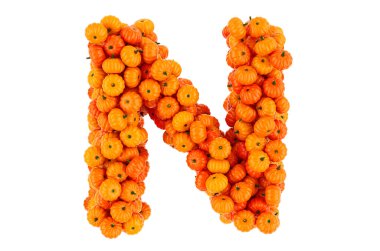 Balkabağı 'ndan N harfi. Beyaz arkaplanda 3B görüntüleme izole edildi