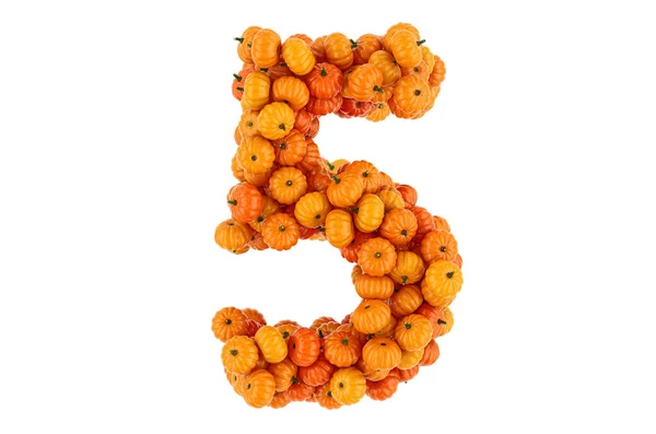 Nummer Fem Från Pumpkins Rendering Isolerad Vit Bakgrund — Stockfoto
