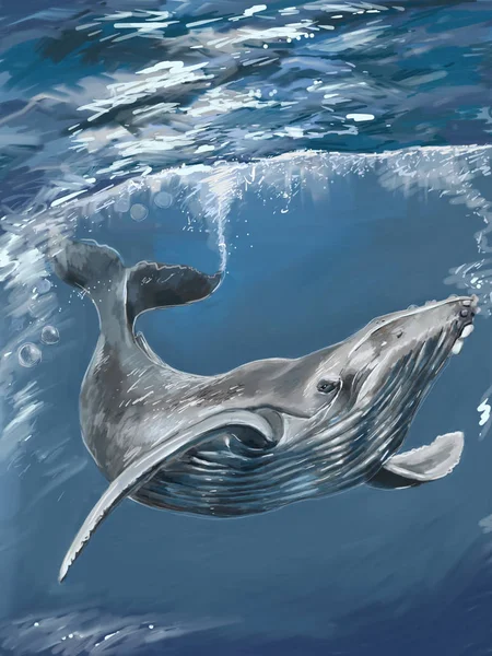 derin mavi okyanusta büyük balina