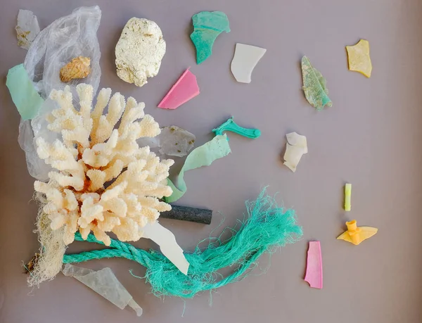 Çevre felaketi Denizden gelen çöpler. plastik atık