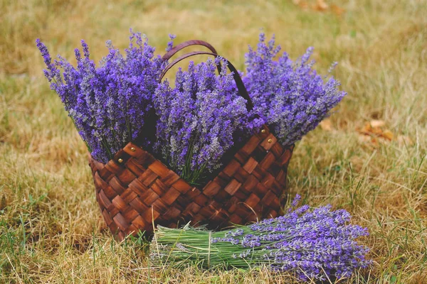 Taze lavantalı sepet.