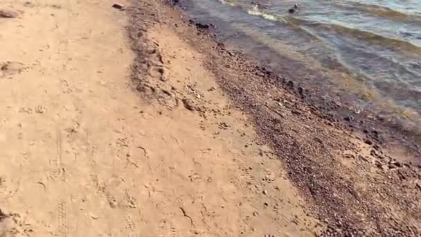 Vidéo Ralenti Magnifique Paysage Estival Bande Côtière Avec Petites Pierres — Video