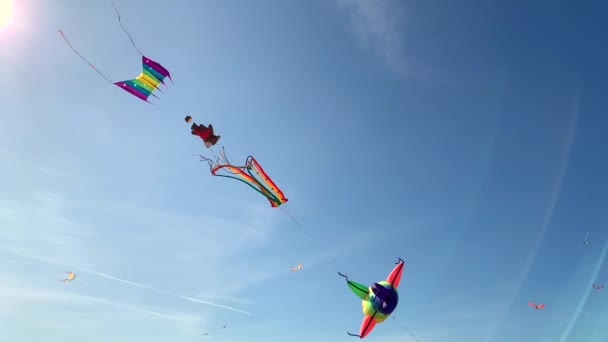 Kites Background Beautiful Blue Sky Park 300Th Anniversary Petersburg — Stock Video