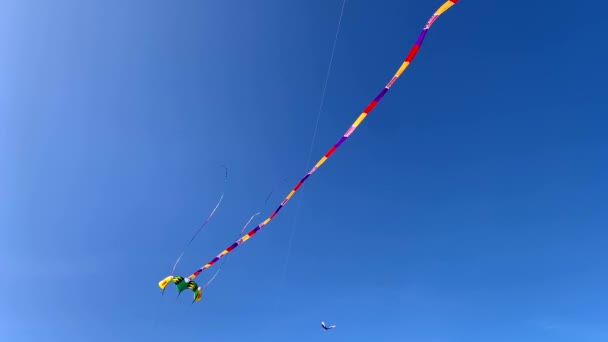 圣彼得堡300周年公园里蓝天的美丽风筝 — 图库视频影像