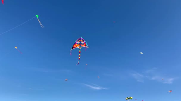 在圣彼得堡300周年的公园里 美丽的明亮风筝在蓝天上 — 图库视频影像