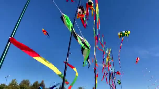 Belos Papagaios Brilhantes Bandeiras Listradas Vento Contra Céu Azul Parque — Vídeo de Stock