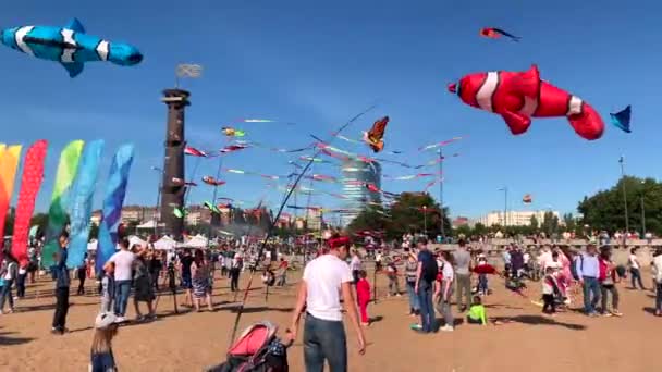 俄罗斯圣彼得堡 2019年8月31日 在圣彼得堡300周年公园放风筝 — 图库视频影像