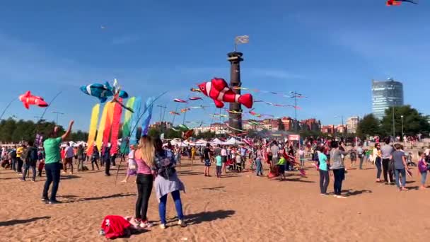 俄罗斯圣彼得堡 2019年8月31日 人们在圣彼得堡300周年公园放风筝 — 图库视频影像