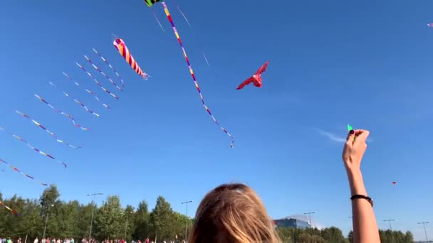 Petersburg Rússia Agosto 2019 Menina Lança Papagaio Parque 300 Aniversário — Vídeo de Stock