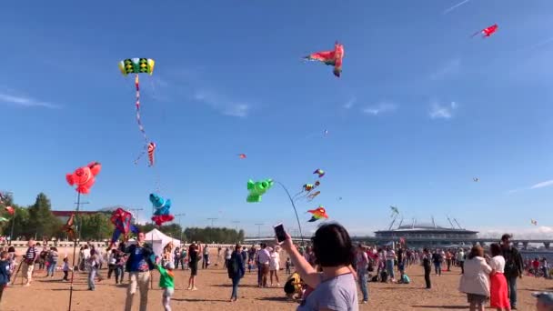 Petersburg Rusland Augustus 2019 Een Meisje Neemt Foto Een Smartphone — Stockvideo