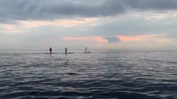 Petersburg Russia August 2019 Evening Walk Sup Surfing Paddle Gulf — Stock Video