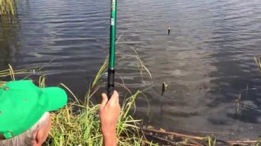 Bir balıkçı balıkçılık yavaş çekim video. Nehir de yaz balıkçılığı. Erkek hobi.